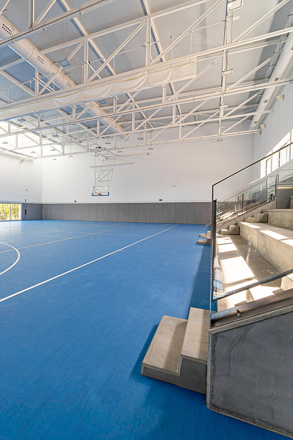 proyecto de arquitectura